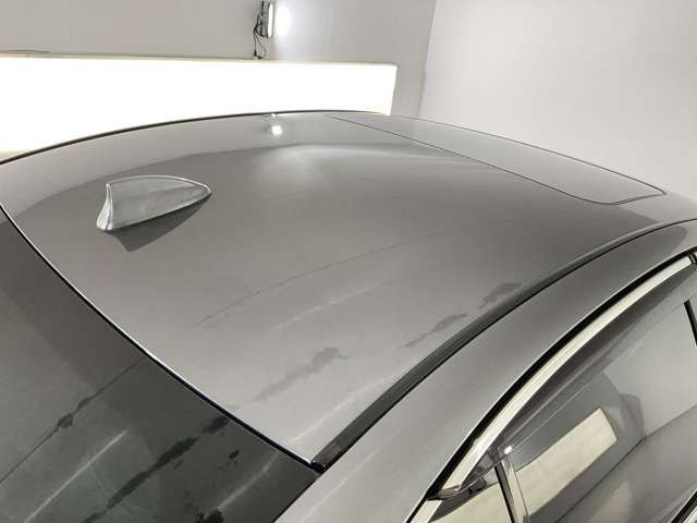 SKYLINE HYBRID