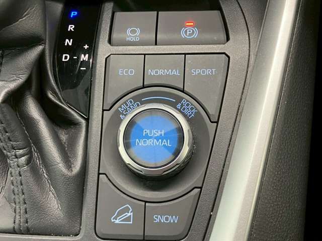 RAV4 4WD