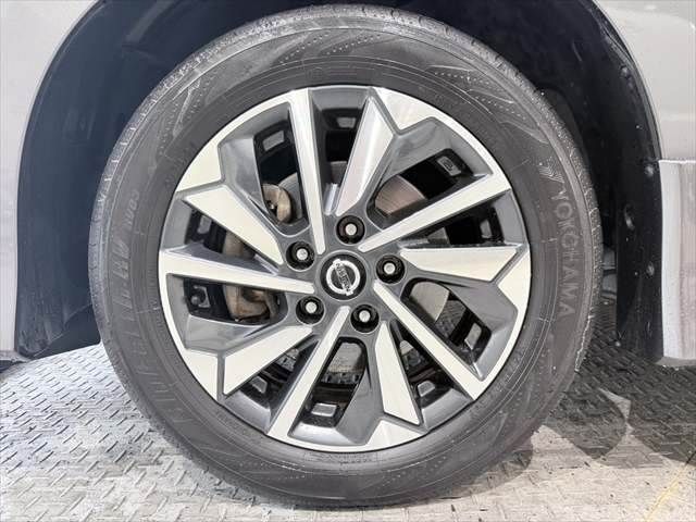 SERENA  S-HYBRID