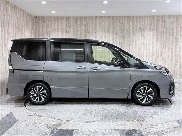 SERENA  S-HYBRID