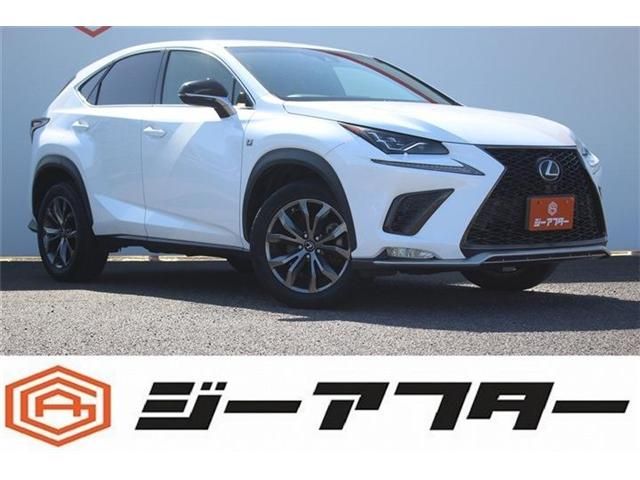 LEXUS NX300