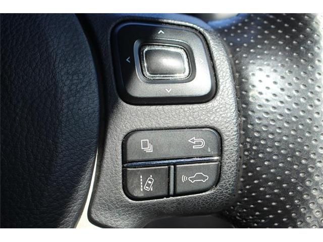 LEXUS NX300
