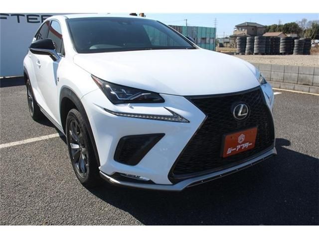 LEXUS NX300