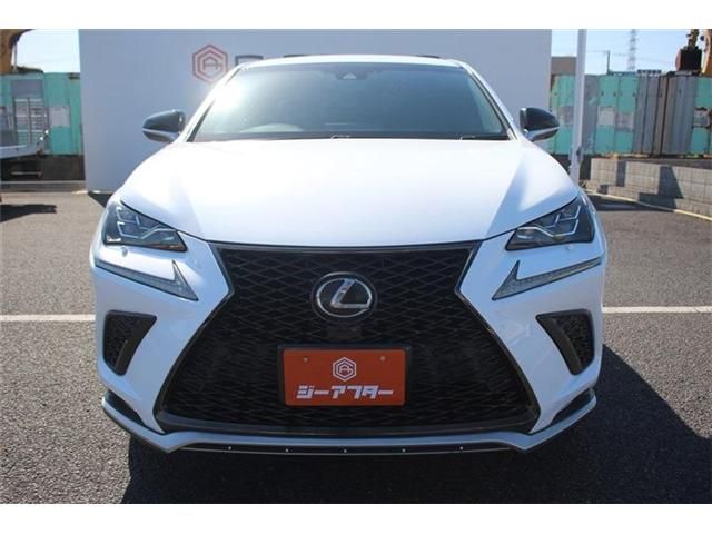 LEXUS NX300
