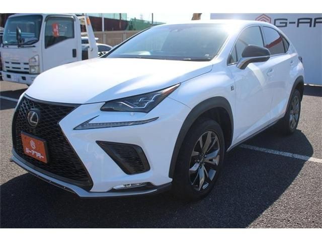 LEXUS NX300