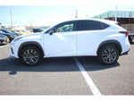 LEXUS NX300