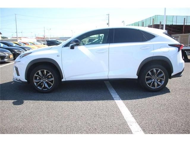 LEXUS NX300