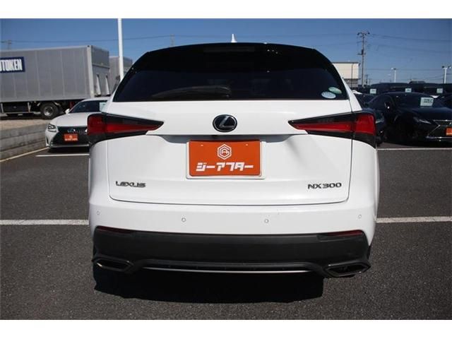LEXUS NX300