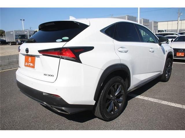 LEXUS NX300