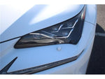 LEXUS NX300