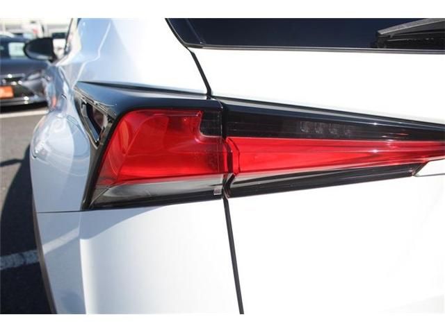 LEXUS NX300