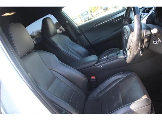 LEXUS NX300
