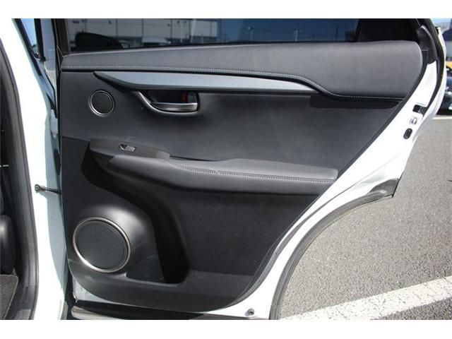 LEXUS NX300