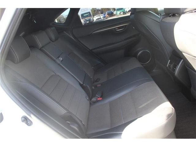 LEXUS NX300