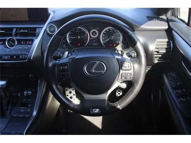 LEXUS NX300