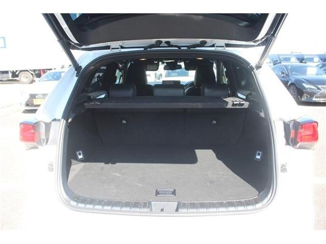 LEXUS NX300