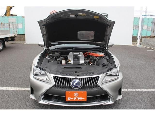 LEXUS RC300h