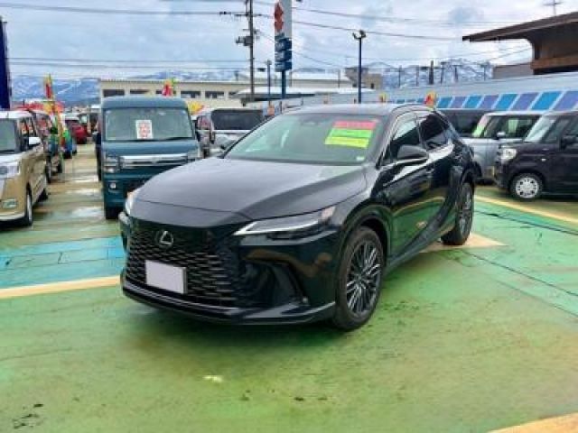 LEXUS RX450h+