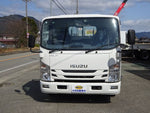 ELF