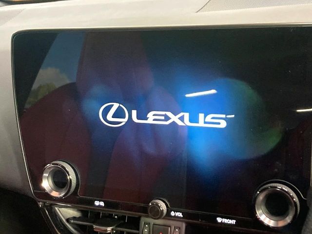 LEXUS NX350h