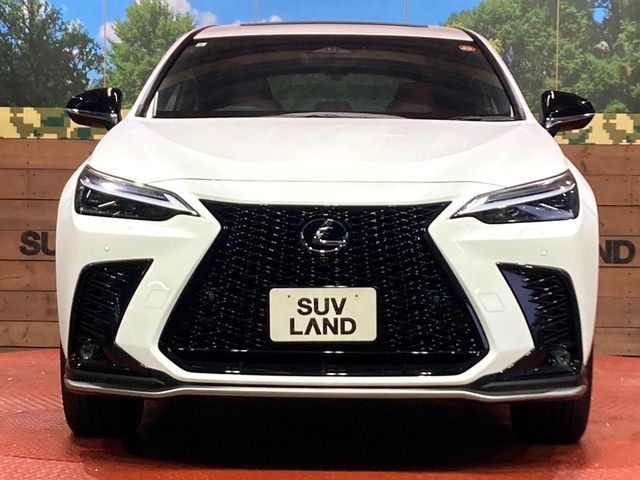 LEXUS NX350h