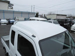 Super CARRY truck 4WD