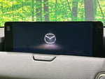 CX-80