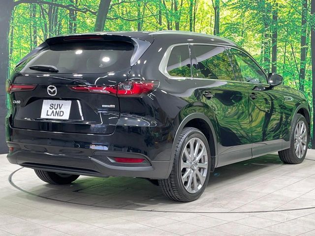 CX-80