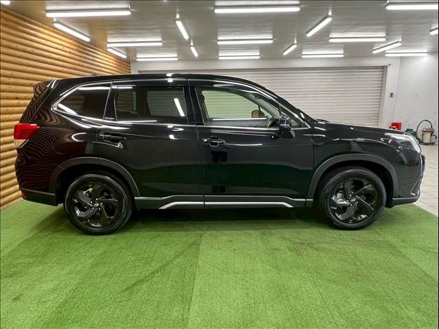 FORESTER