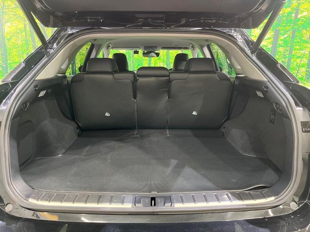 LEXUS RX450h AWD