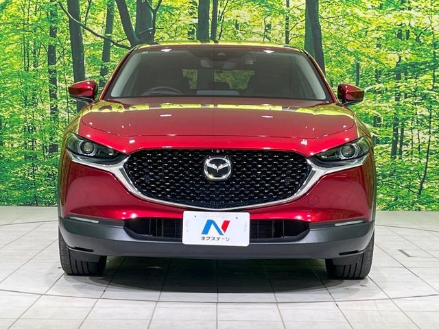 CX-30