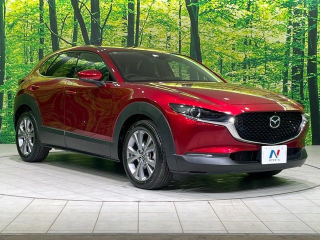 CX-30
