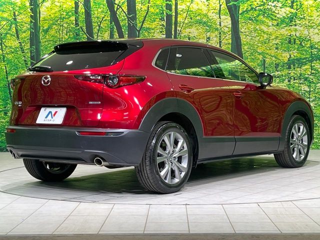 CX-30