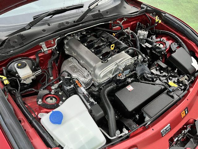 ROADSTER RF