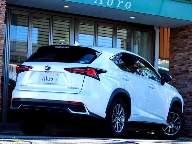 LEXUS NX300h