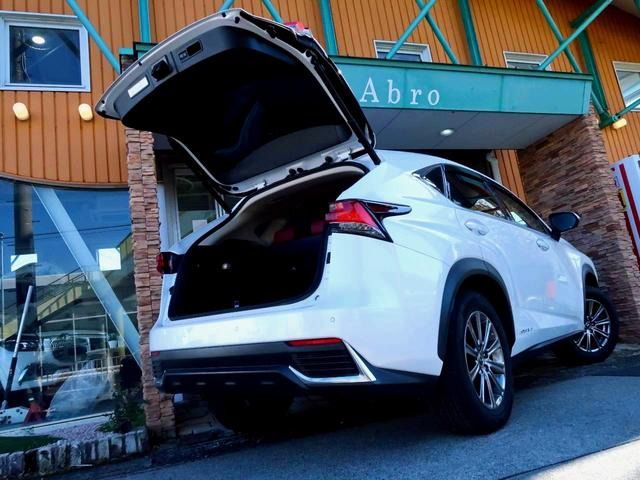 LEXUS NX300h