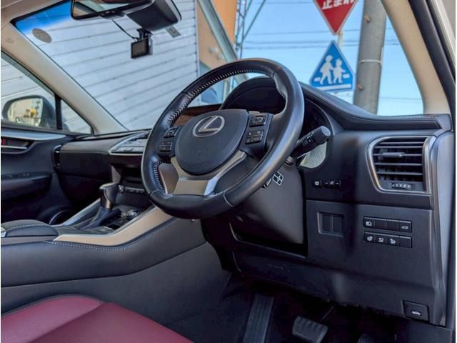 LEXUS NX300h