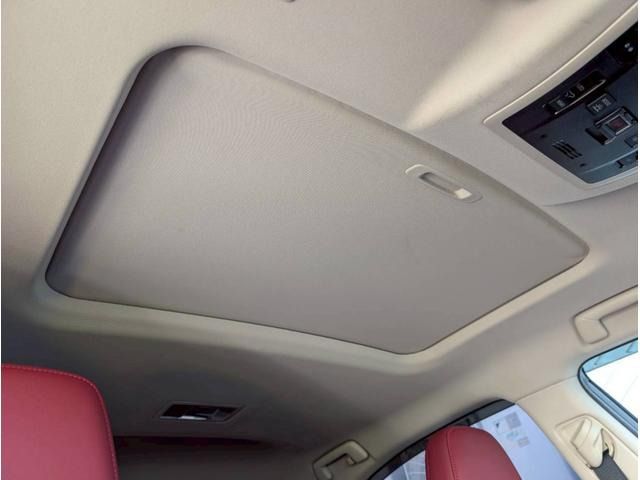 LEXUS NX300h