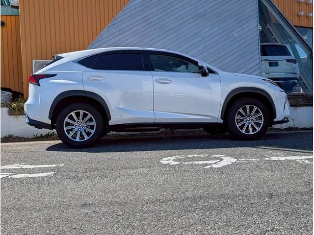 LEXUS NX300h