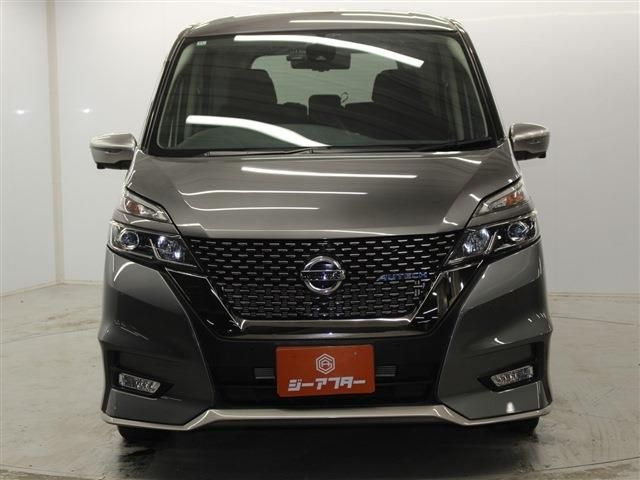 SERENA  S-HYBRID
