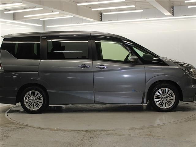 SERENA  S-HYBRID