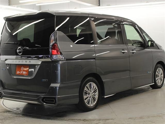 SERENA  S-HYBRID