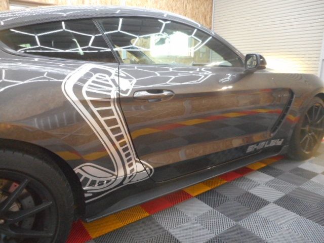 FORD MUSTANG