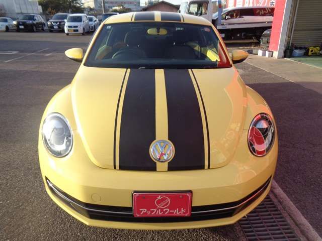 VOLKSWAGEN The BEETLE