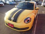 VOLKSWAGEN The BEETLE