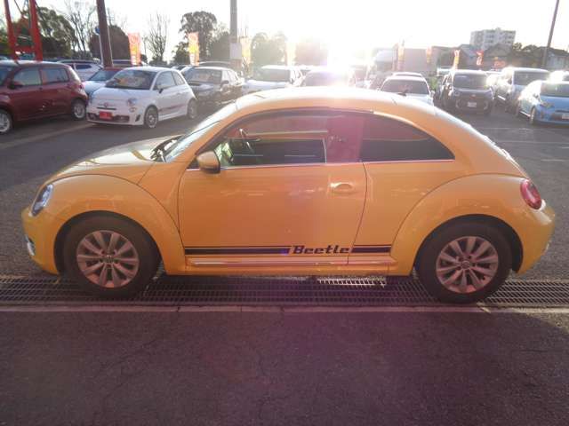 VOLKSWAGEN The BEETLE