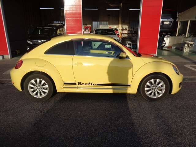 VOLKSWAGEN The BEETLE