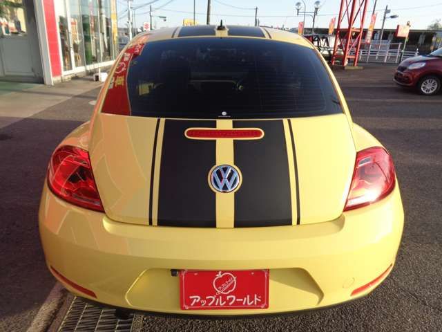 VOLKSWAGEN The BEETLE