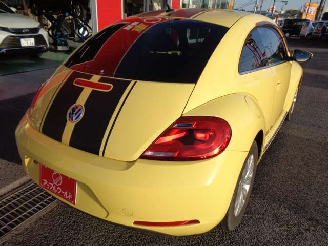 VOLKSWAGEN The BEETLE