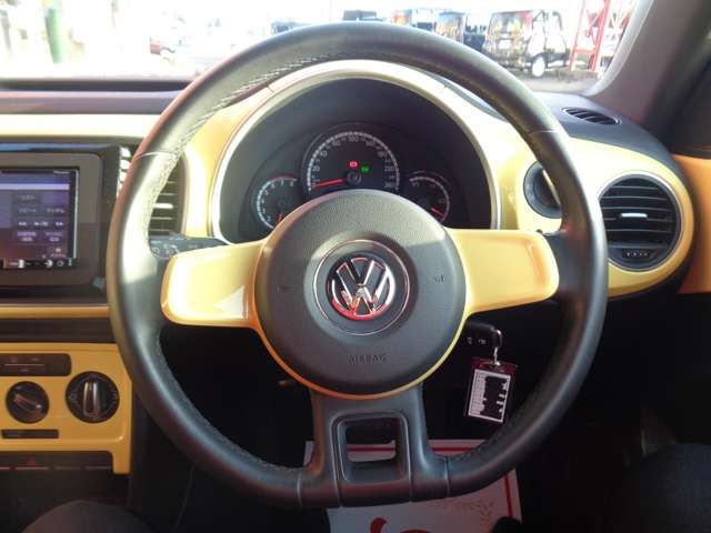 VOLKSWAGEN The BEETLE